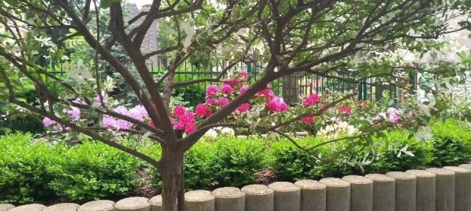 90696420_259195971751528_8821624330745020416_n