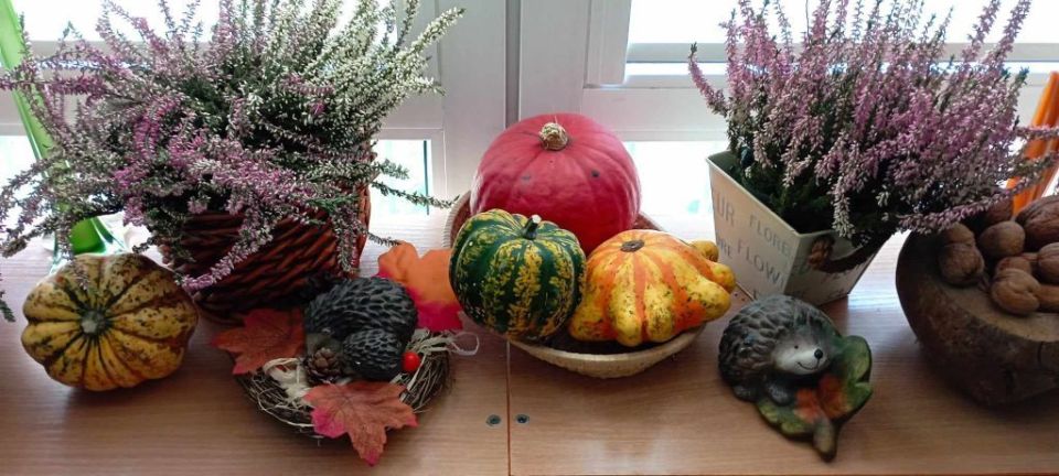 462542730_548006571491820_6854445970306681670_n