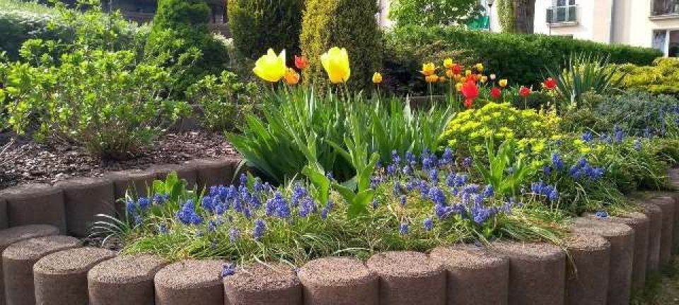 58430340_2548873451807278_7183275576415748096_n