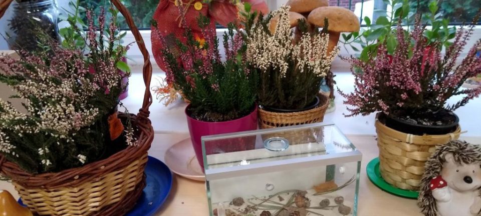 122479241_478768866429421_4575704858151145772_n