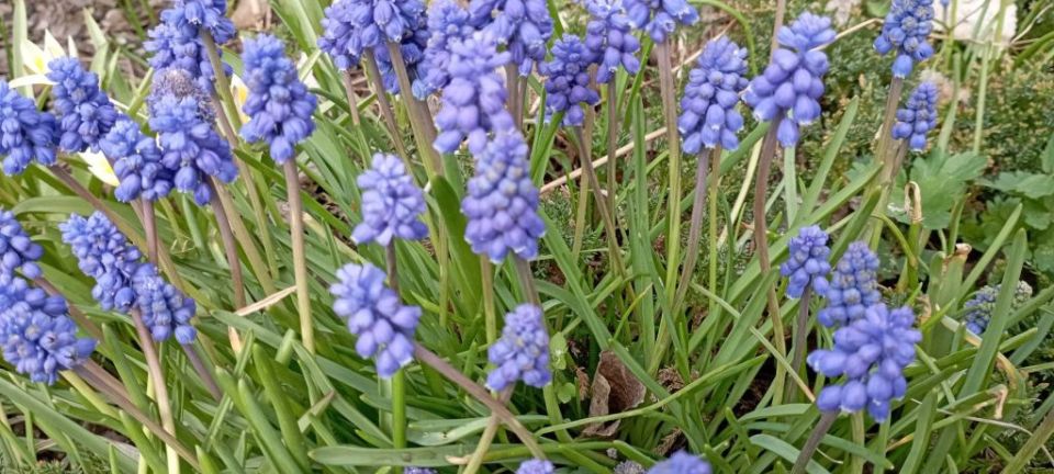 341164666_3672872002940388_2154364299677189808_n