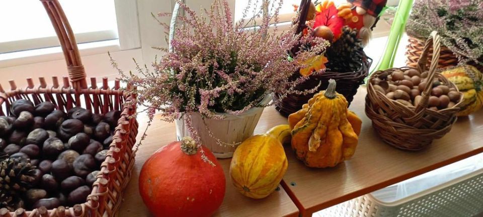 462560687_519031194454343_957880857368851077_n