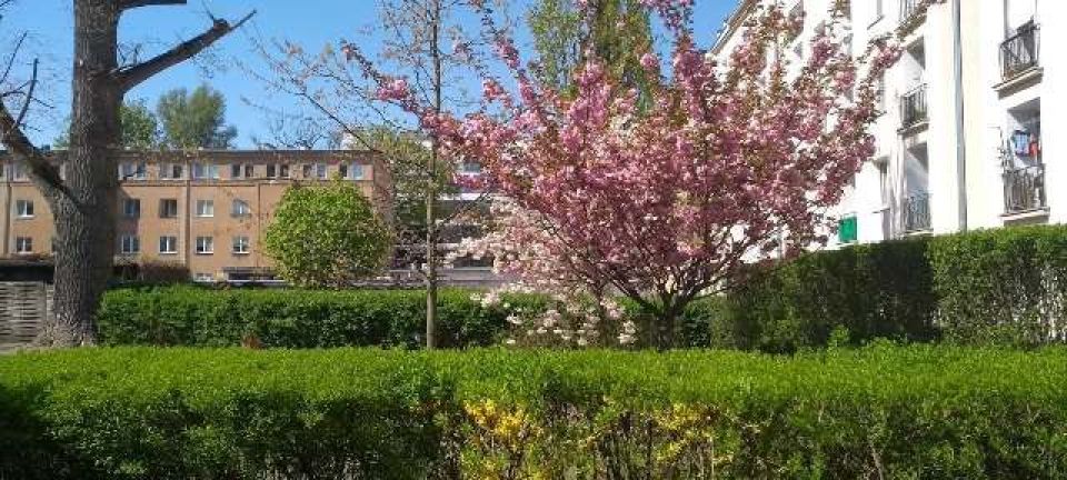 58380957_383067215753788_6971006279623901184_n