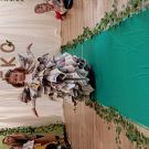IMG_20250314_094100