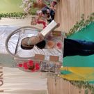 IMG_20250314_093811
